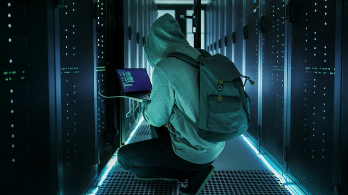 Gray Hat Hackers